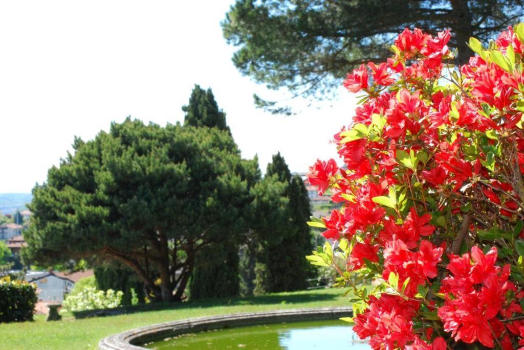 Villa Rossini Tavernerio Ngoại thất bức ảnh